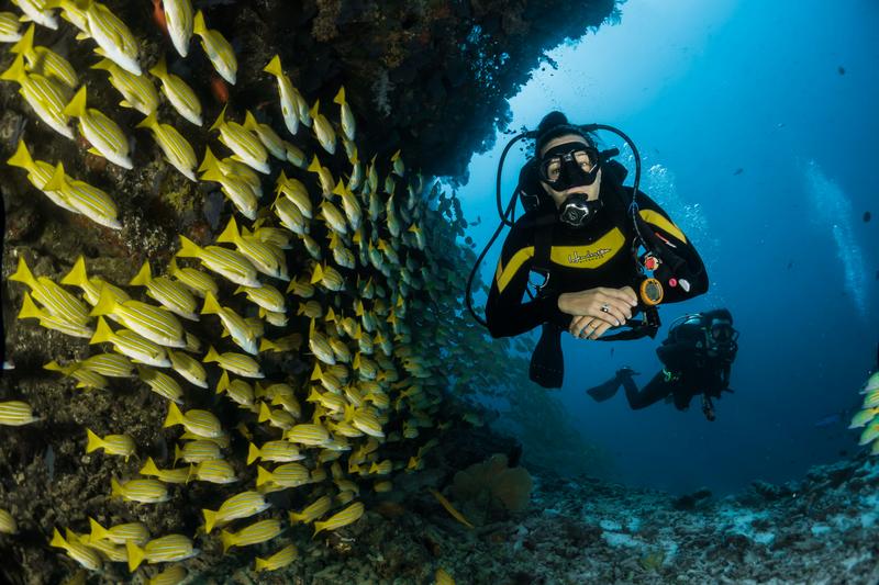 Keys Diving Expedition